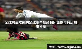 概率如何影响舍牌（概率如何左右舍牌选择）